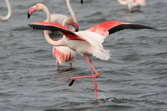 Tour image 6