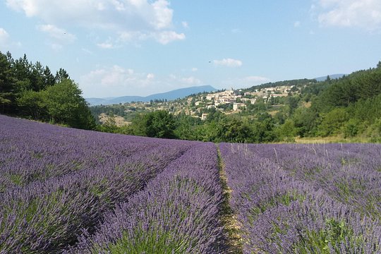 Tour image 1