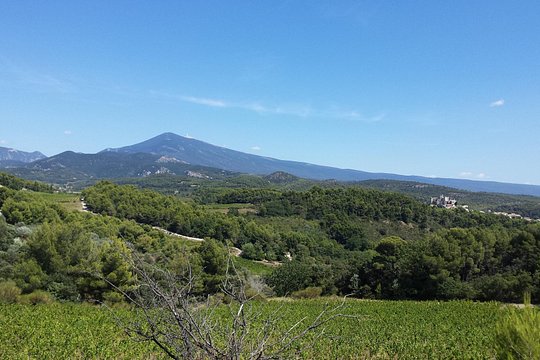 Tour image 2