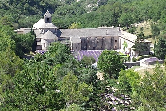Tour image 5