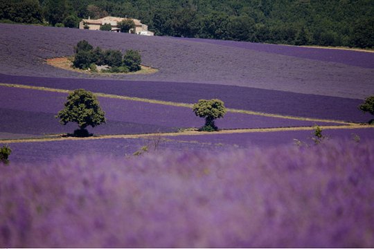 Tour image 11