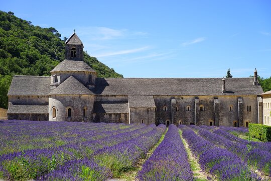 Tour image 8