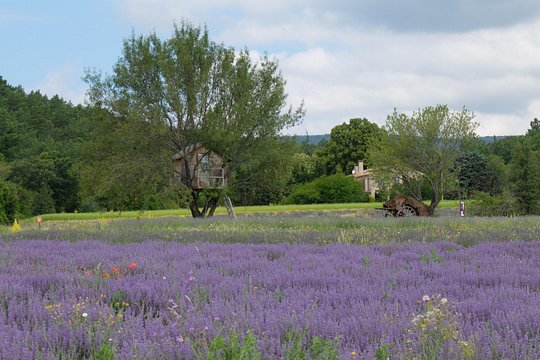 Tour image 3