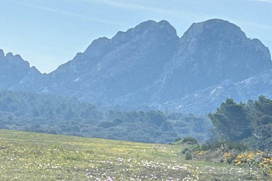 Tour image 2