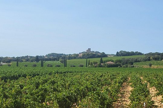 Tour image 4